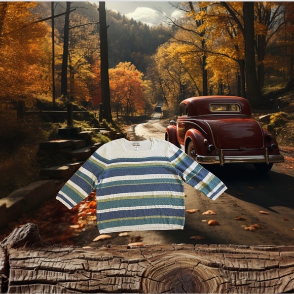 Alfred dunner Women multicolored  sweater cardigan pullover Plus Size 2X pearls - Picture 2 of 16